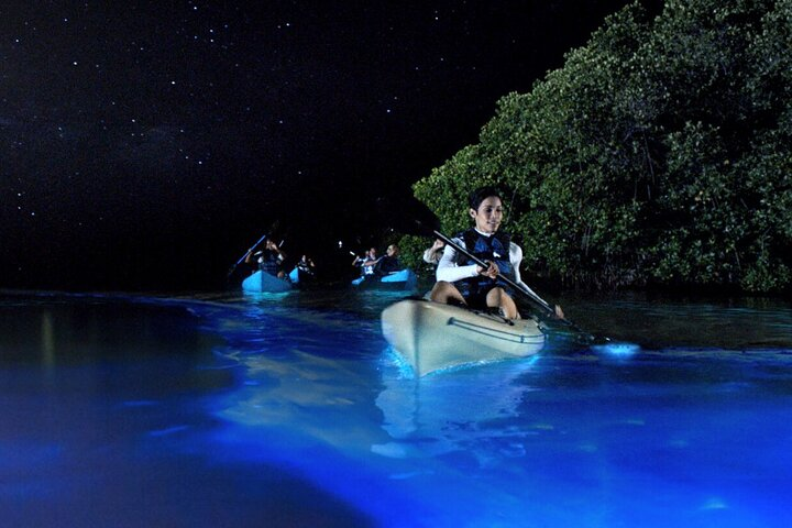 Bioluminescence Clear Kayak or Paddleboard Tour Near Orlando - Photo 1 of 12